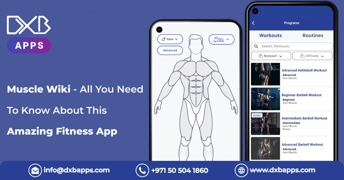 Muscle Wiki - All You Need To Know About This Amazing Fitness App