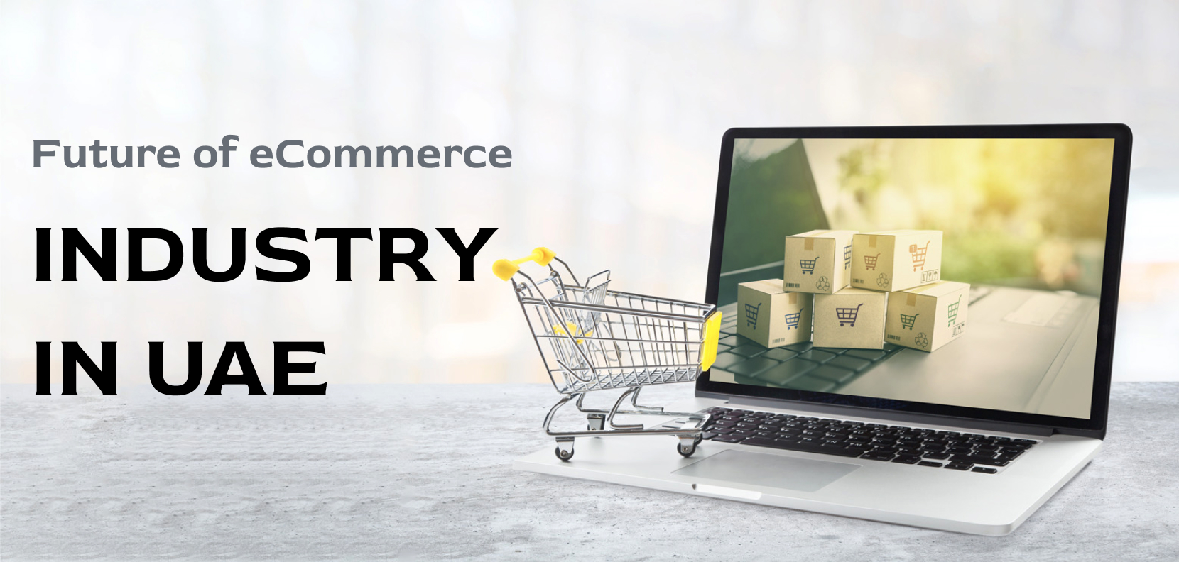 Future of eCommerce industry in UAE