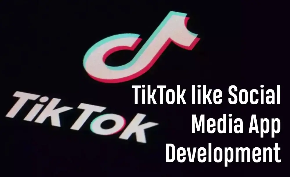 TikTok like Social Media App Development