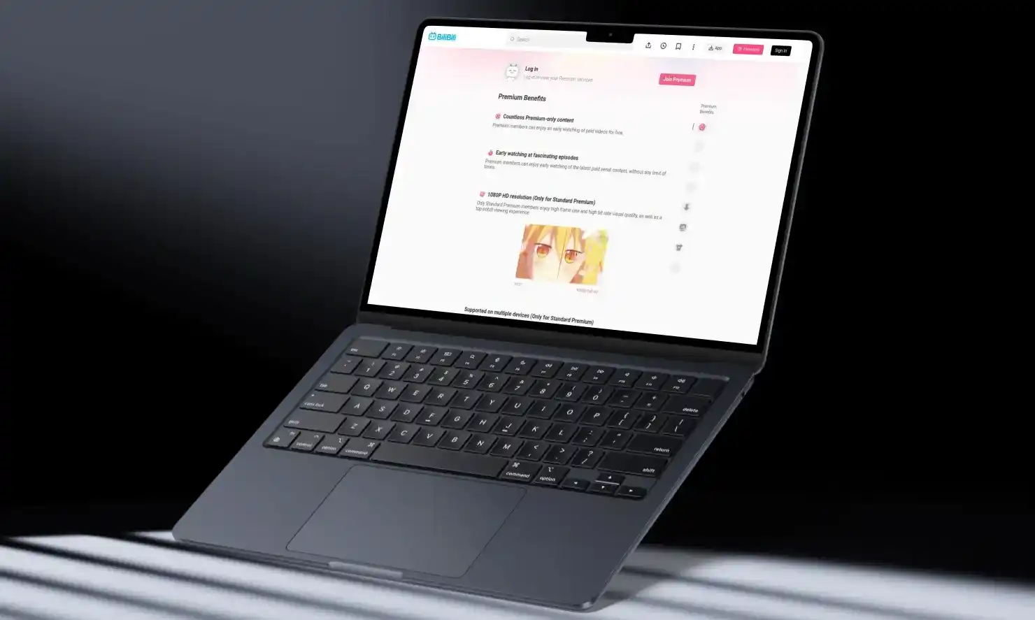 bilibili premium