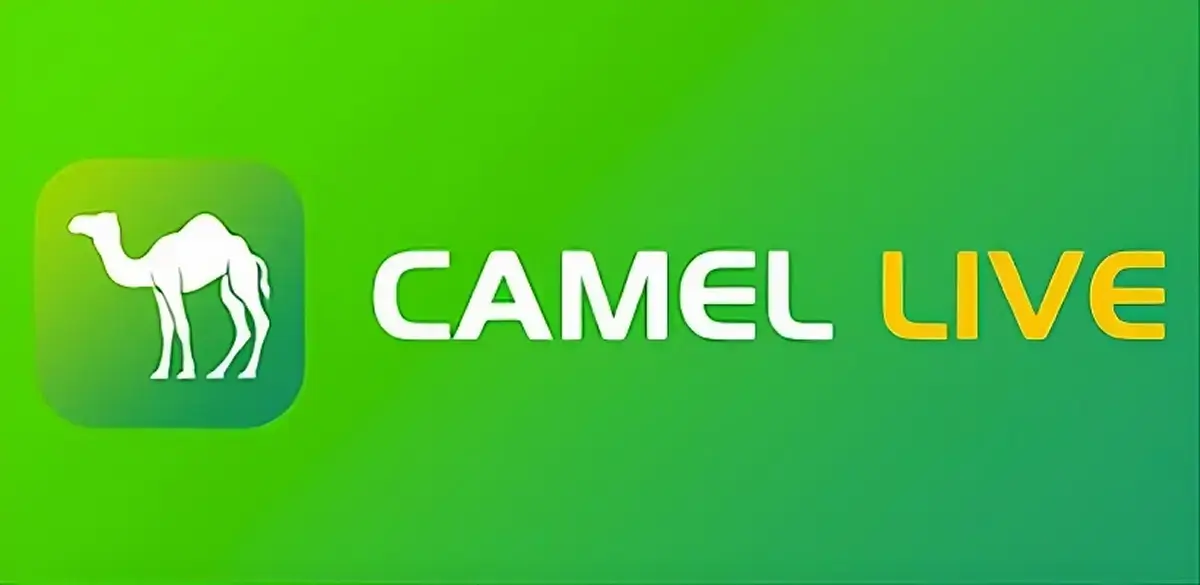 Camel Live