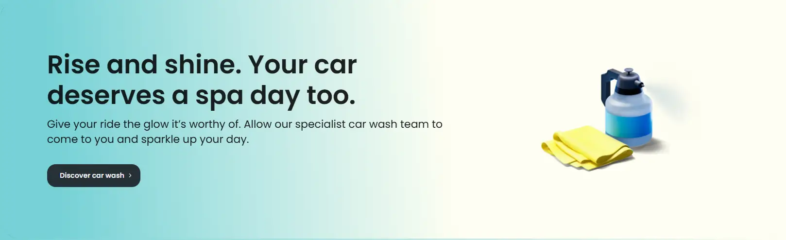 Cafu Car Washing