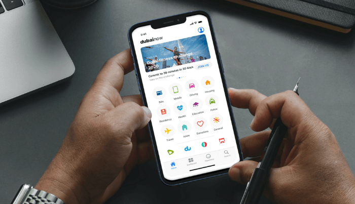 Dubai Now App