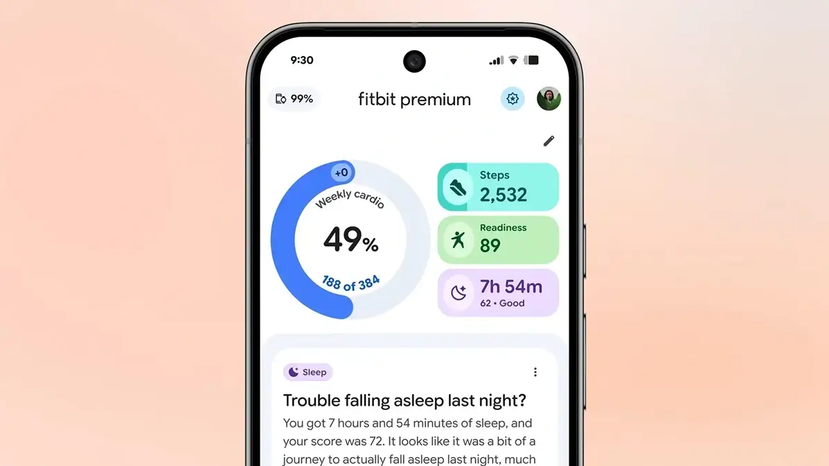 Fitbit App