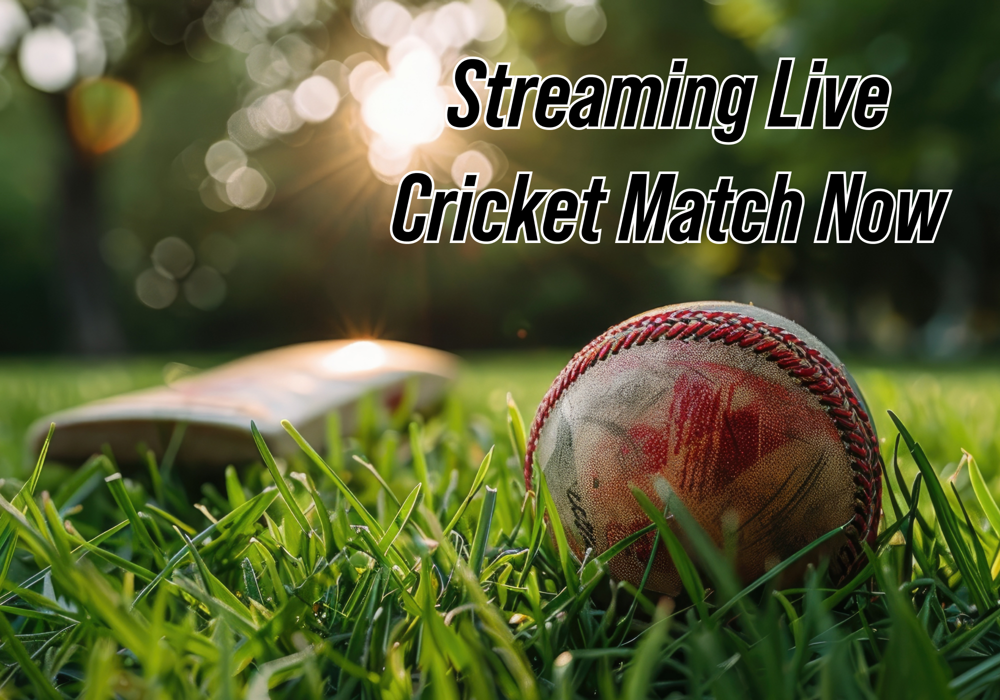 Free Cricket Live Streaming