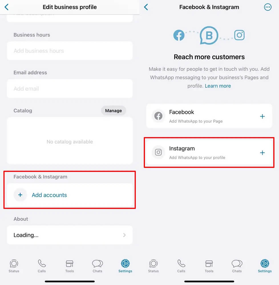 WhatsApp and Instagram Link