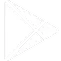 Google Store Icon